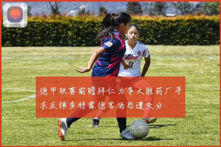 德甲联赛前瞻拜仁力争大胜药厂寻求反弹多特蒙德客场恐遭失分