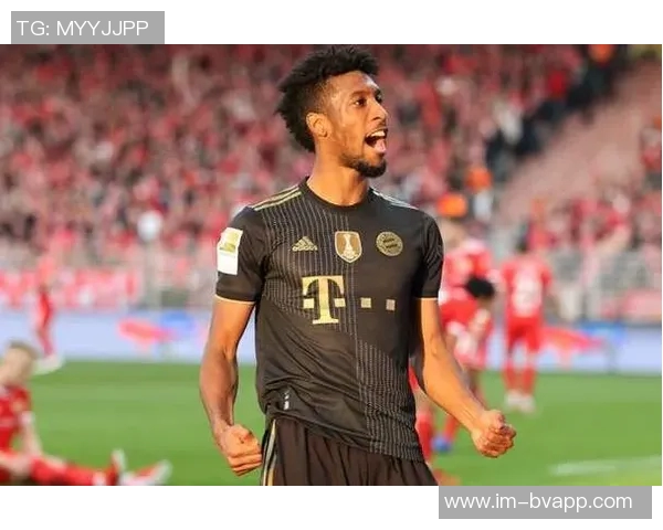 拜仁获批收购翁特哈兴体育公园将作为女足新主场使用